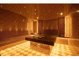 ARDEN PALACE Medical Resort & SPA 4
