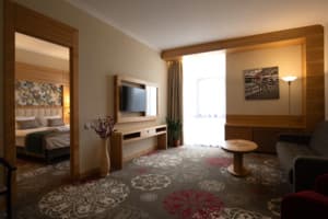 Санаторий ARDEN PALACE Medical Resort & SPA. Люкс двухместный двухкомнатный 9