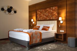 Санаторий ARDEN PALACE Medical Resort & SPA. Люкс двухместный однокомнатный 9