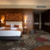 Санаторий ARDEN PALACE Medical Resort & SPA. Люкс двухместный однокомнатный 8