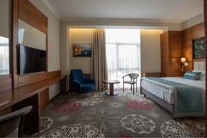 Санаторий ARDEN PALACE Medical Resort & SPA. Стандарт двухместный  + 2
