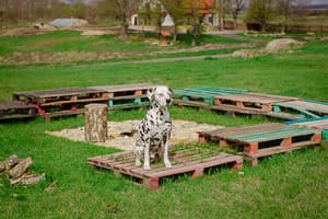 Домик в деревне 28