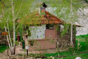 Домик в деревне 20