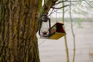 Домик в деревне 16