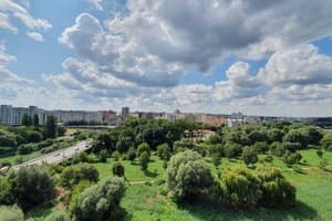 Люкс с панорамным видом 14