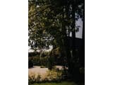 Quiet Forest 4