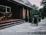 Quiet Forest 5