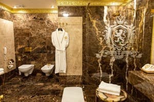 Отель Royal Palace Luxury Hotel & SPA. Люкс двухместный Президентский King №304 12