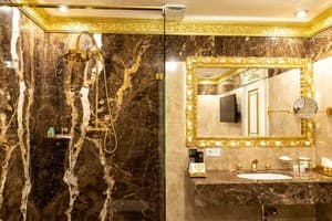 Отель Royal Palace Luxury Hotel & SPA. Люкс двухместный Президентский King №304 16