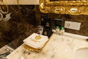 Отель Royal Palace Luxury Hotel & SPA. Люкс двухместный Президентский Lion №204 15