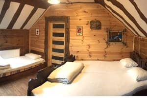 Волчья хижина 5